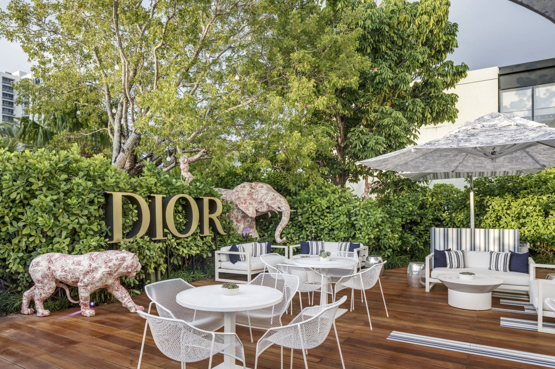 Dior Cafe Umbrellas